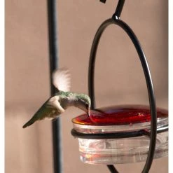 We Love Hummingbirds Small Hanging Hummingbird Feeder, Beautiful Glass & Decorative Metal Design -home bar shop 2ff13313089b56d2 9486 w800 h800 b0 p0