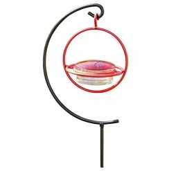 We Love Hummingbirds Small Glass Hummingbird Feeder With Red Perch