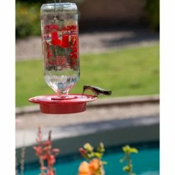 We Love Hummingbirds Hummingbird Feeder With 32 Oz. Glass Nectar Tank -home bar shop 5711cafd0b840699 6251 w800 h800 b0 p0