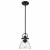 Golden Lighting Hines Mini Pendant, Black, Seeded Glass