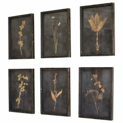Kalalou, Inc. Botanical Prints Under Glass, Set Of 6