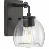 Progress Lighting Caisson 1-Light Graphite Clear Glass Urban Industrial Bath Vanity Light