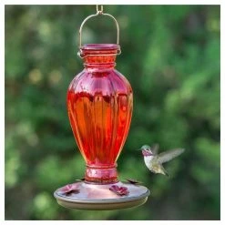 Woodstream Corp. Perky Pet Daisy Vase Vintage Glass Humming Bird Feeder, Red 6 Woodstream Corp. Perky Pet Daisy Vase Vintage Glass Humming Bird Feeder, Red -home bar shop 8621c5fd0adf58cc 4823 w800 h800 b1 p0