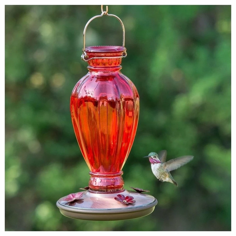 Woodstream Corp. Perky Pet Daisy Vase Vintage Glass Humming Bird Feeder, Red 3 Woodstream Corp. Perky Pet Daisy Vase Vintage Glass Humming Bird Feeder, Red - Image 3
