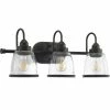 Progress Lighting Saluda Collection 3-Light Antique Bronze Clear Glass Coastal Bath Vanity Light