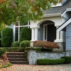 Globe Electric Bowery 1-Light Matte Black Outdoor Lamp Post Light, Base Adaptor, Glass Inserts -home bar shop a1816fdf0e20f0ca 0935 w800 h800 b0 p0