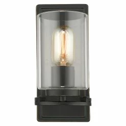 Golden Lighting Monroe 1-Light Wall Sconce, Black With Clear Glass