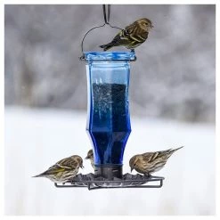 Woodstream Corp. Perky-Pet 8138-2 Sapphire Starburst Vintage Glass Wild Bird Feeder, 0.56 Lb. -home bar shop c1a1d9000ad0b265 0180 w800 h800 b1 p0