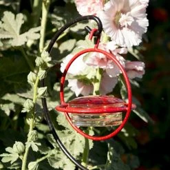 We Love Hummingbirds Small Glass Hummingbird Feeder With Red Perch -home bar shop d62156ac0b044e6f 8881 w800 h800 b0 p0