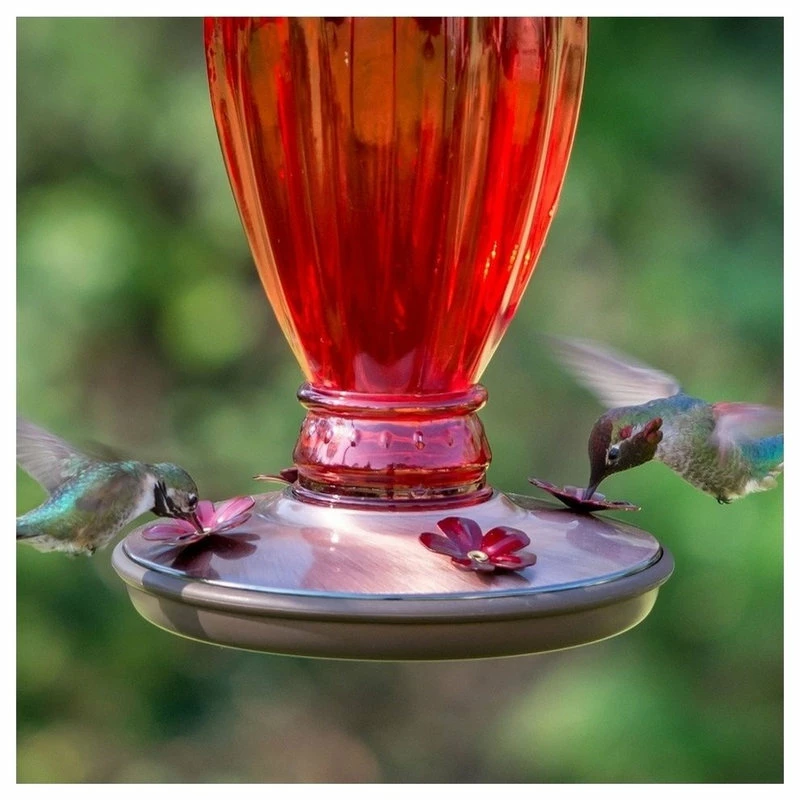 Woodstream Corp. Perky Pet Daisy Vase Vintage Glass Humming Bird Feeder, Red 4 Woodstream Corp. Perky Pet Daisy Vase Vintage Glass Humming Bird Feeder, Red - Image 4