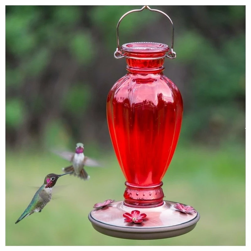 Woodstream Corp. Perky Pet Daisy Vase Vintage Glass Humming Bird Feeder, Red 2 Woodstream Corp. Perky Pet Daisy Vase Vintage Glass Humming Bird Feeder, Red - Image 2