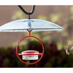 We Love Hummingbirds Small Glass Hummingbird Feeder With Red Perch -home bar shop def130710b044e61 8867 w800 h800 b0 p0