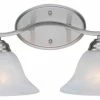Lights Reimagined Hollyslope Bath Vanity, 2-Light, Brushed Nickel, Marbelized Glass Shade, 16.25"W