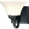 Minka Aire 1-Light Bath, Black With White Paint And Sand Blast Inside Glass